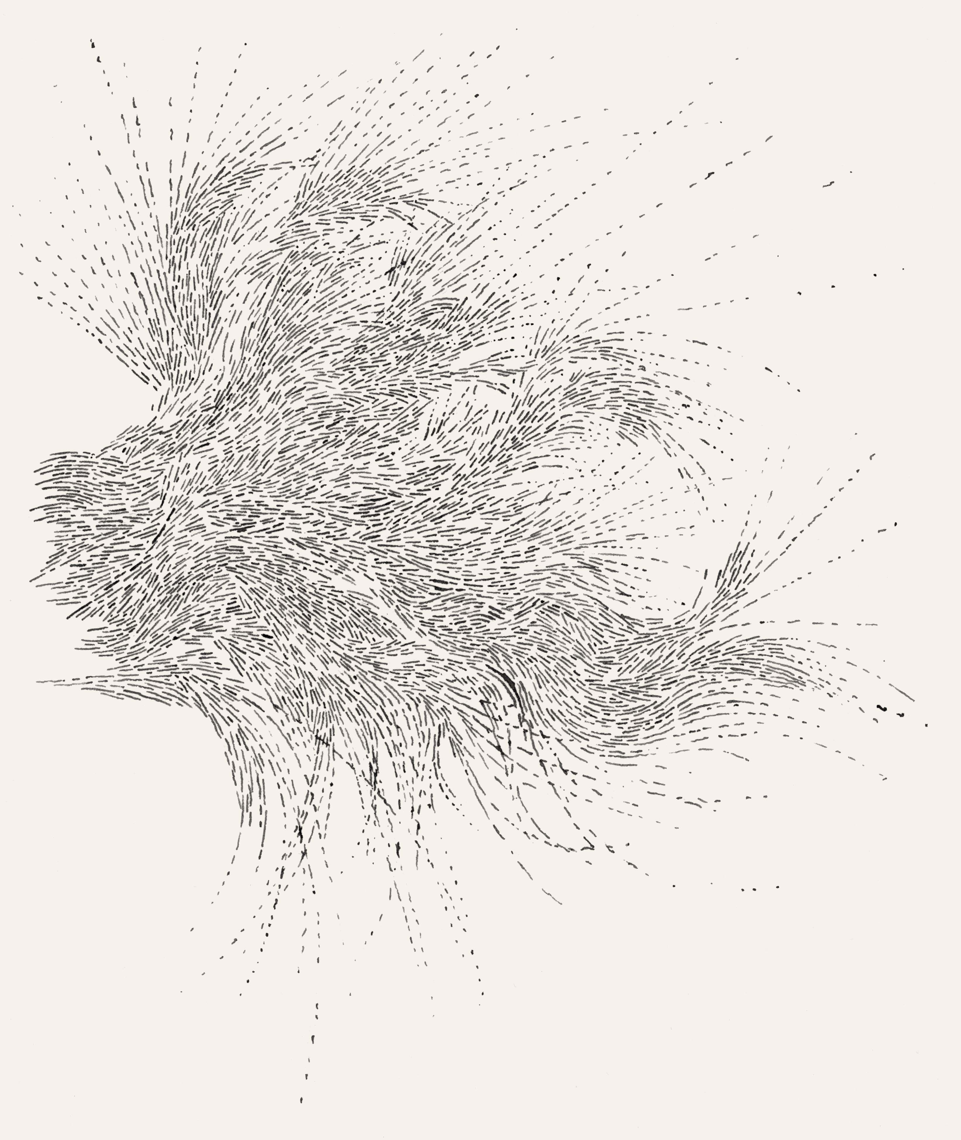 image-17