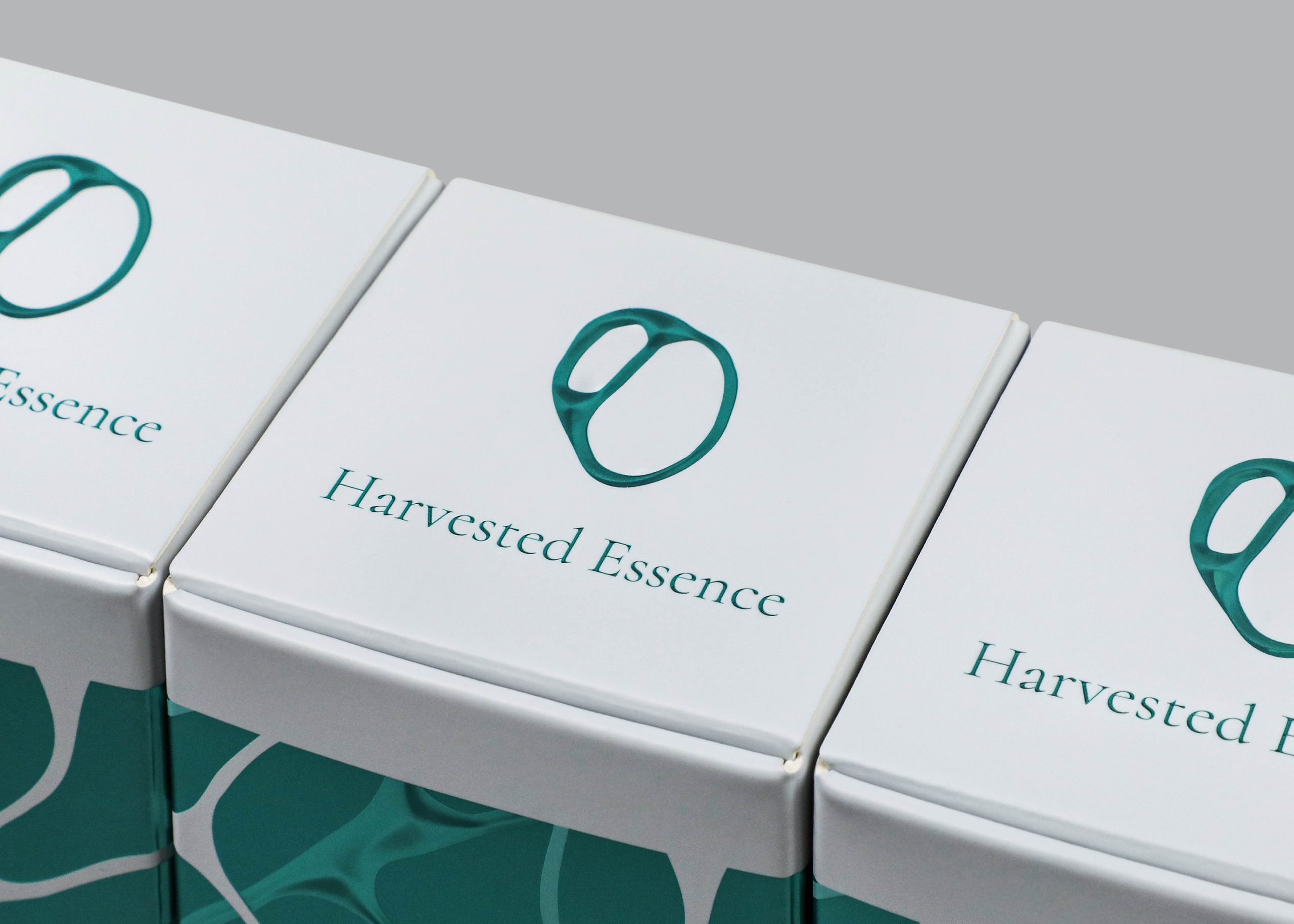 Essence-58-04-scaled-1