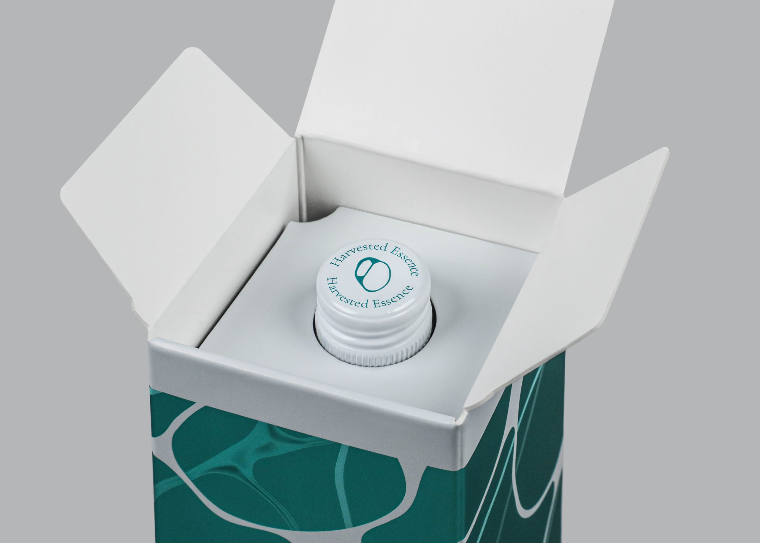 Essence-58-05-scaled-1